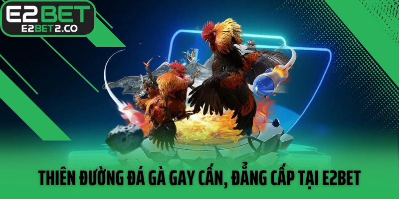 Thiên đường đá gà gay cấn, đẳng cấp tại E2BET