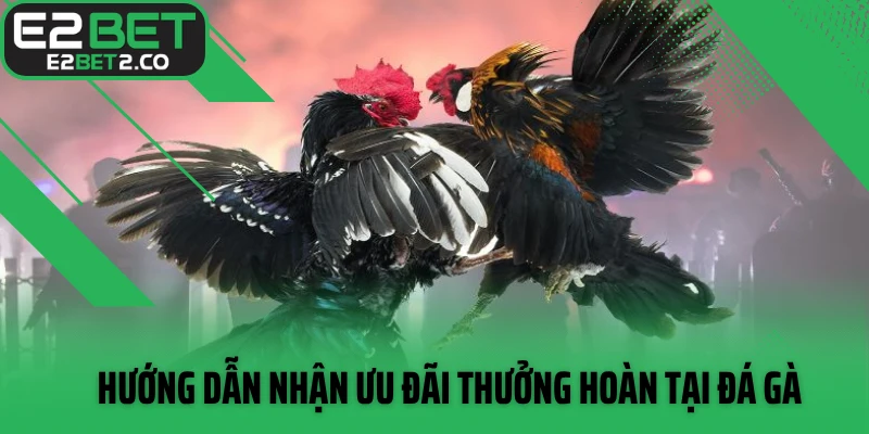 Hướng dẫn nhận ưu đãi thưởng hoàn tại đá gà