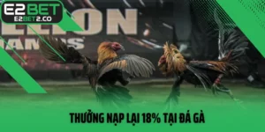 Thưởng nạp lại 18% tại đá gà
