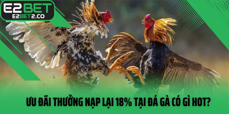 Ưu đãi thưởng nạp lại 18% tại đá gà có gì hot?